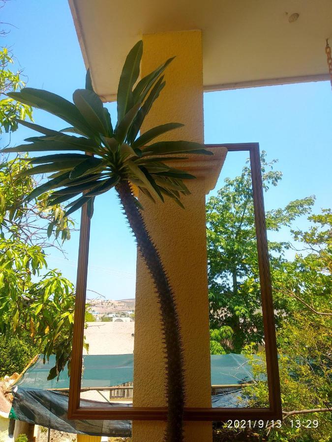 Room In Guest Room - Padrinos Hostal La Paz Full House المظهر الخارجي الصورة